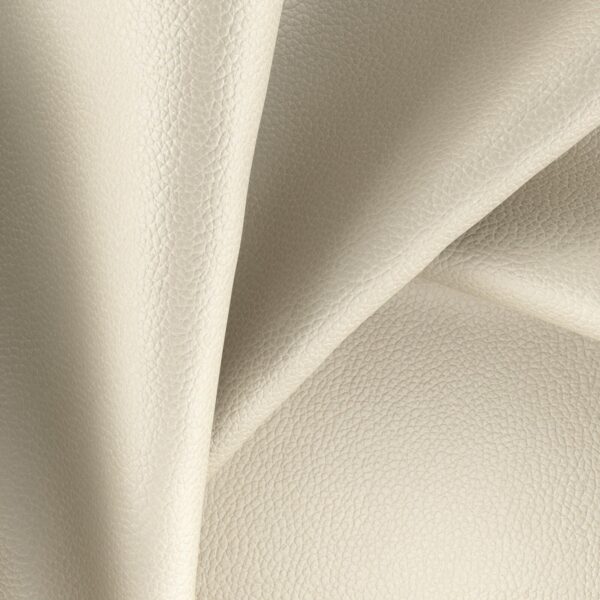 Integra Bone - Imagen 2