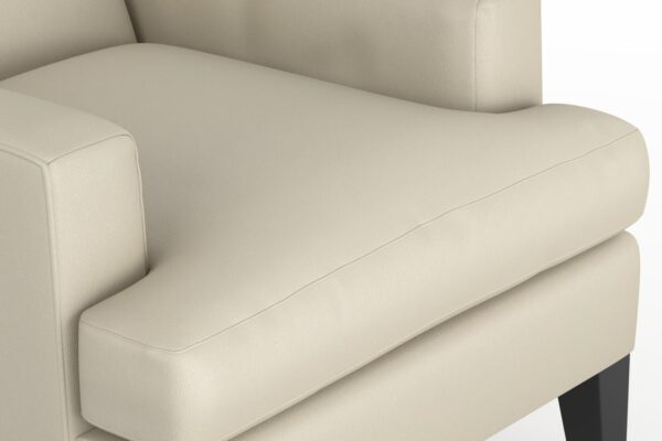 Integra Bone - Imagen 3